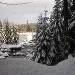 Arnika * Kořenov